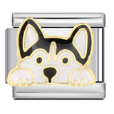 Cute Husky Corgi Shepherd Dog Pet Dog Series Titanium Steel Welded Gold Plated Oil Dripping Italian Module Bracelet Cute Husky Corgi Shepherd Dog Pet Dog Series Titanium Steel Welded Gold Plated Oil Dripping Italian Module Bracelet