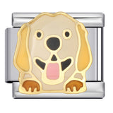 Cute Husky Corgi Shepherd Dog Pet Dog Series Titanium Steel Welded Gold Plated Oil Dripping Italian Module Bracelet Cute Husky Corgi Shepherd Dog Pet Dog Series Titanium Steel Welded Gold Plated Oil Dripping Italian Module Bracelet