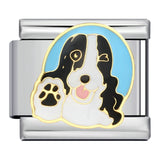 Cute Husky Corgi Shepherd Dog Pet Dog Series Titanium Steel Welded Gold Plated Oil Dripping Italian Module Bracelet Cute Husky Corgi Shepherd Dog Pet Dog Series Titanium Steel Welded Gold Plated Oil Dripping Italian Module Bracelet