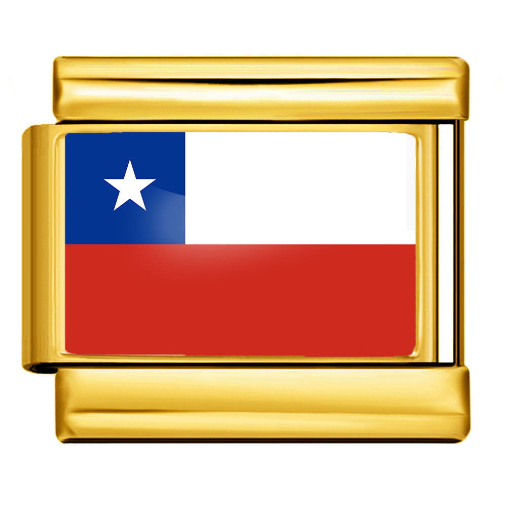 Gold Base World Flag Photo Resin Italian Charm Bracelet DIY Stainless Steel Stretch Watch Band Wristband