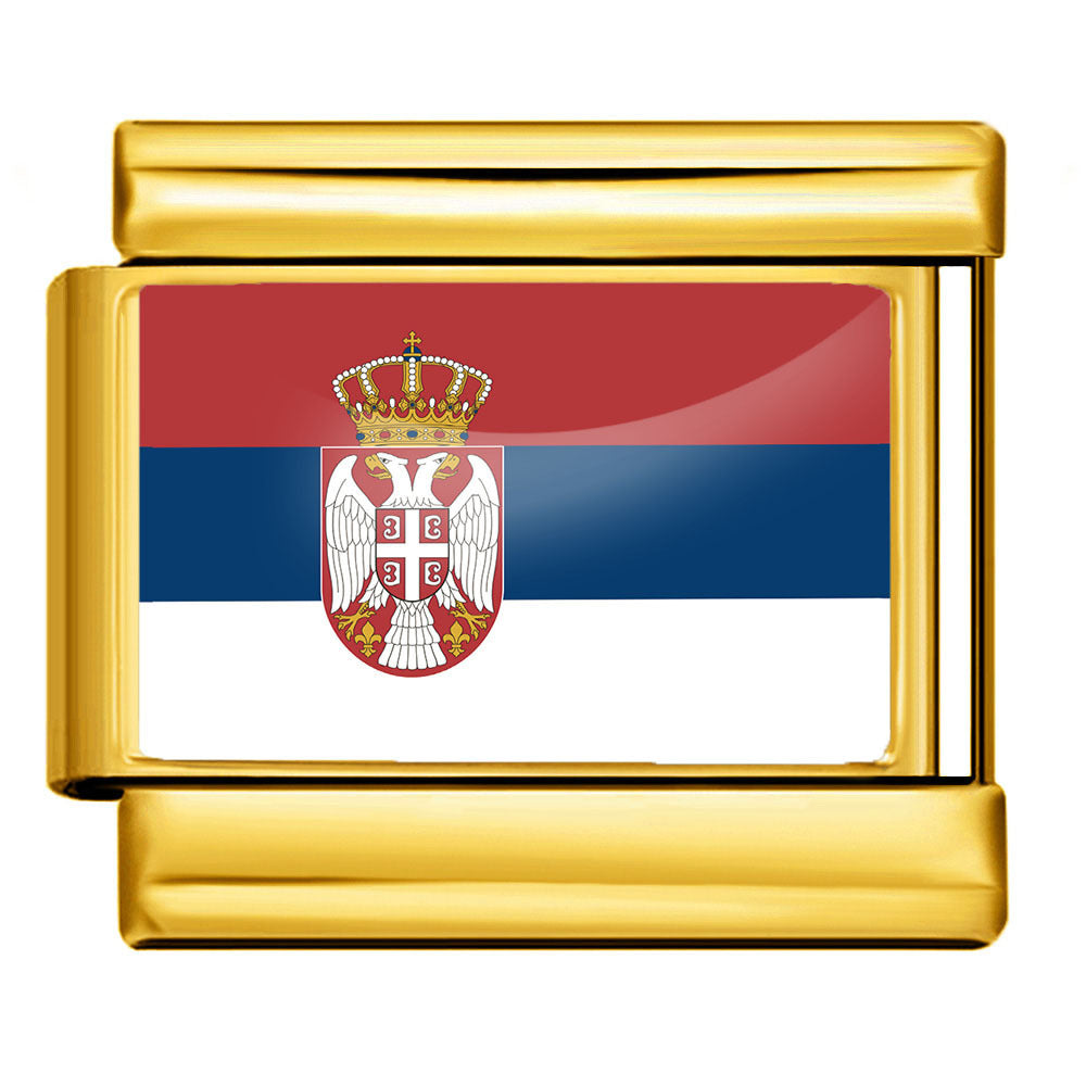 Gold Base World Flag Photo Resin Italian Charm Bracelet DIY Stainless Steel Stretch Watch Band Wristband