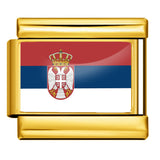 Gold Base World Flag Photo Resin Italian Charm Bracelet DIY Stainless Steel Stretch Watch Band Wristband