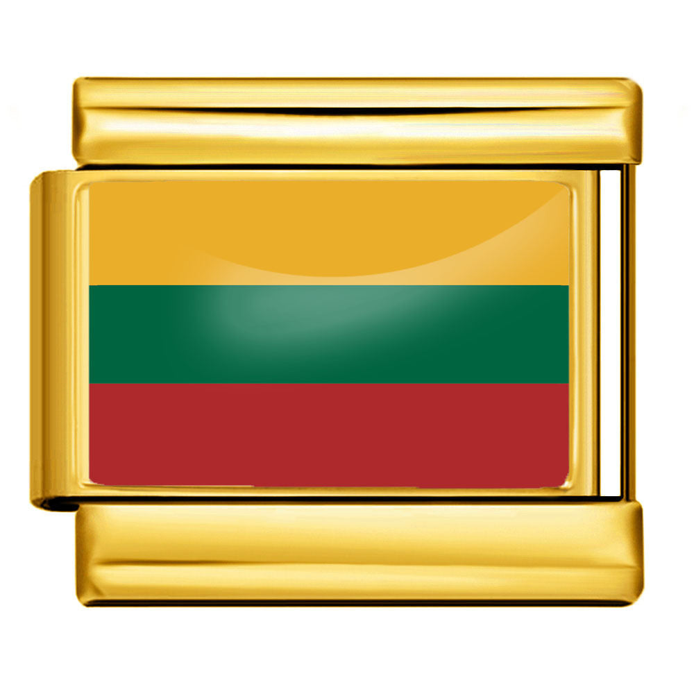 Gold Base World Flag Photo Resin Italian Charm Bracelet DIY Stainless Steel Stretch Watch Band Wristband