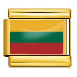 Gold Base World Flag Photo Resin Italian Charm Bracelet DIY Stainless Steel Stretch Watch Band Wristband