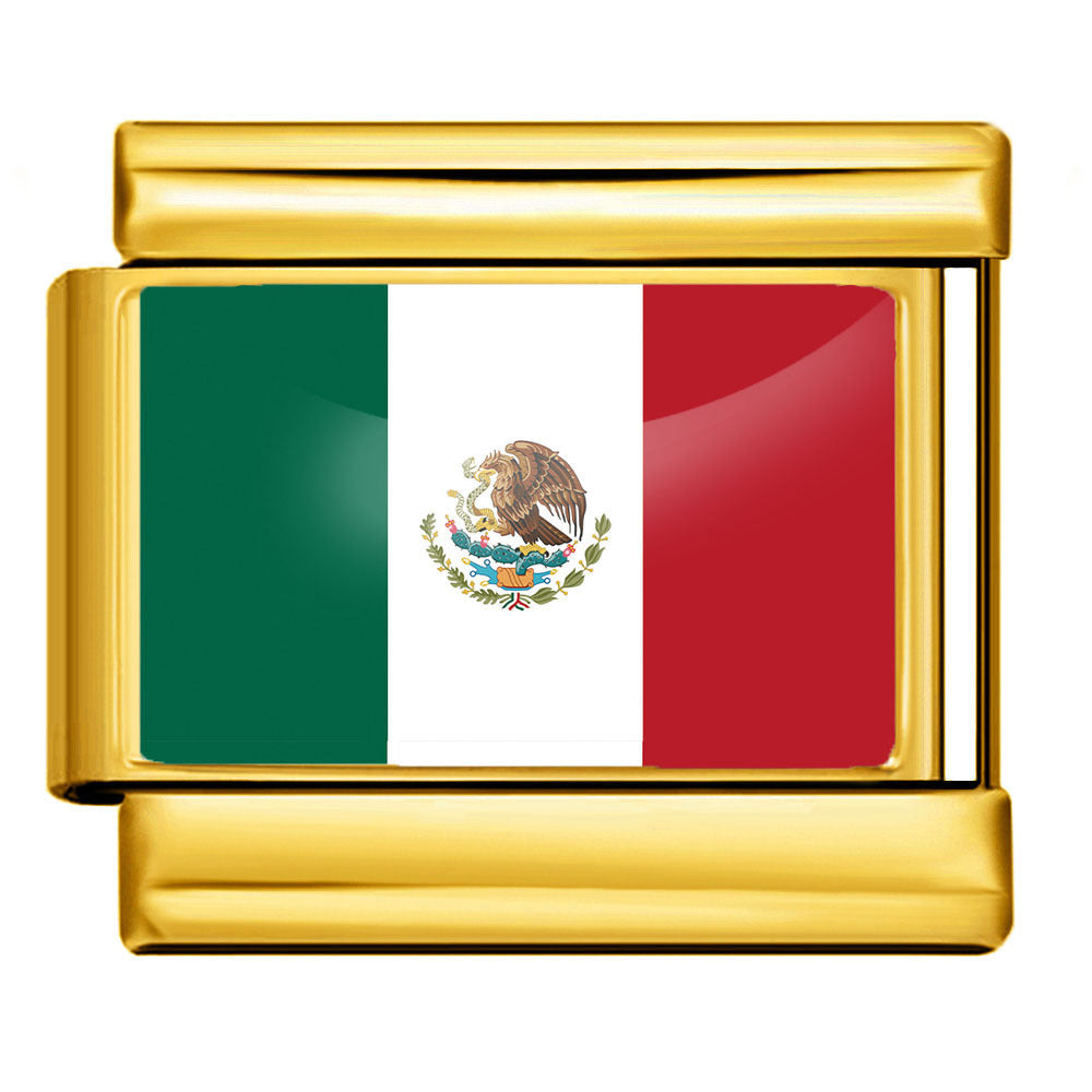 Gold Base World Flag Photo Resin Italian Charm Bracelet DIY Stainless Steel Stretch Watch Band Wristband