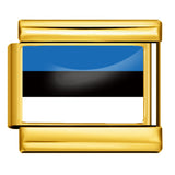 Gold Base World Flag Photo Resin Italian Charm Bracelet DIY Stainless Steel Stretch Watch Band Wristband