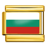 Gold Base World Flag Photo Resin Italian Charm Bracelet DIY Stainless Steel Stretch Watch Band Wristband